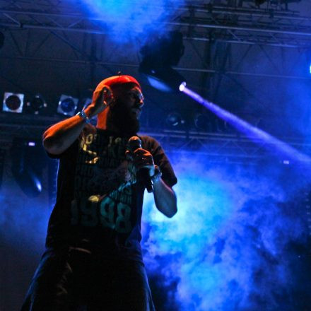 Donauinselfest 2012 (FM4)