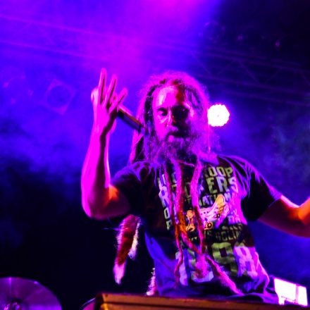 Donauinselfest 2012 (FM4)