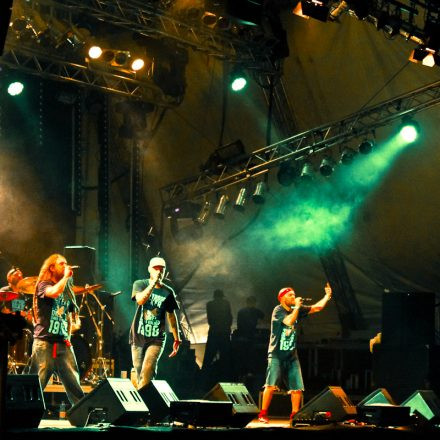 Donauinselfest 2012 (FM4)