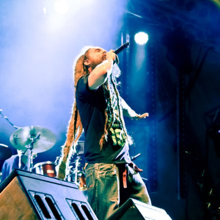 Donauinselfest 2012 (FM4)