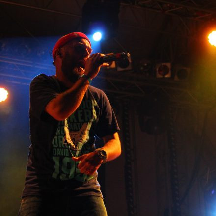 Donauinselfest 2012 (FM4)