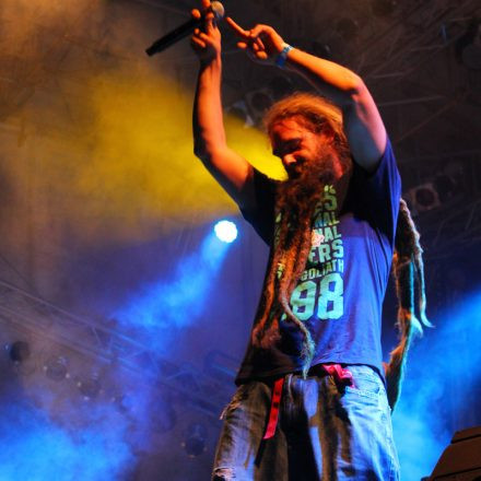 Donauinselfest 2012 (FM4)