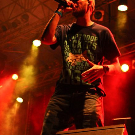 Donauinselfest 2012 (FM4)