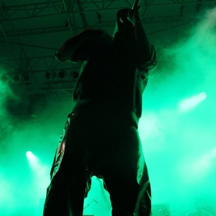 Donauinselfest 2012 (FM4)