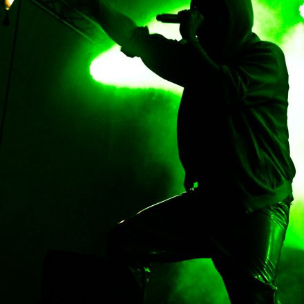 Donauinselfest 2012 (FM4)