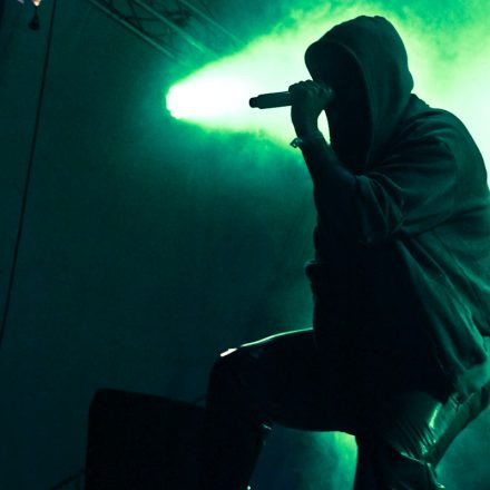 Donauinselfest 2012 (FM4)