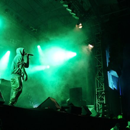 Donauinselfest 2012 (FM4)