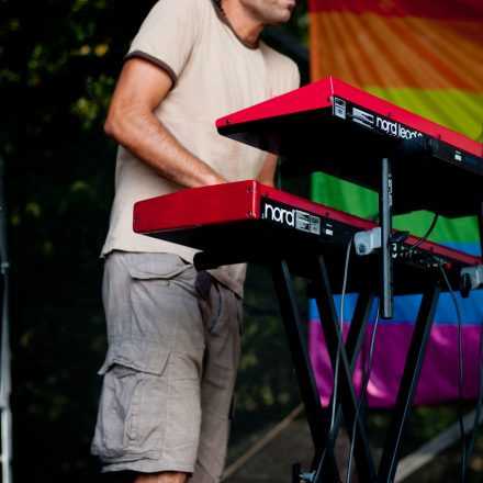 Donauinselfest (SJ-Bühne & Eutopia) Tag 2