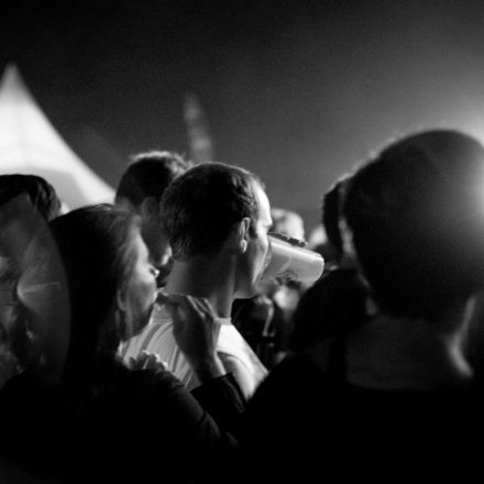 Donauinselfest (SJ-Bühne & Eutopia) Tag 2