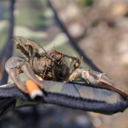 Urban Art Forms Festival 2012 - Tag 2 // PART 1/5