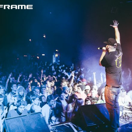 Mainframe pres. Subfocus & MC ID & TREI