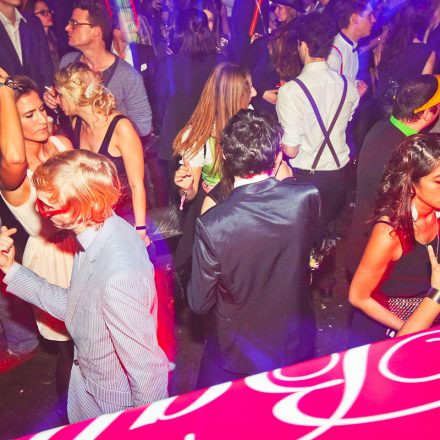Technoball 2013 @ Volksgarten