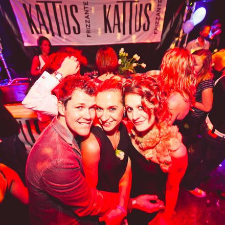 Technoball 2013 @ Volksgarten