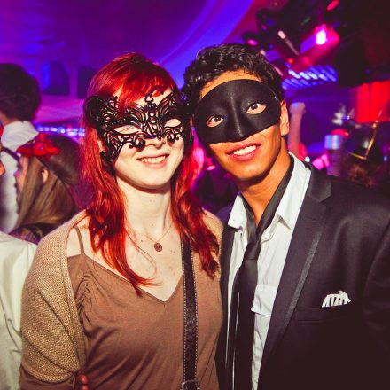 Technoball 2013 @ Volksgarten