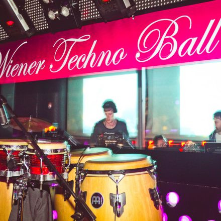 Technoball 2013 @ Volksgarten