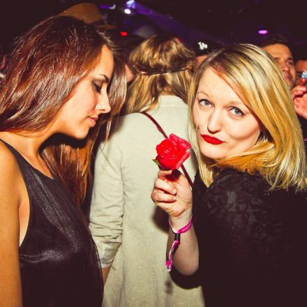 Technoball 2013 @ Volksgarten