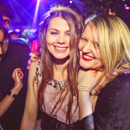 Technoball 2013 @ Volksgarten
