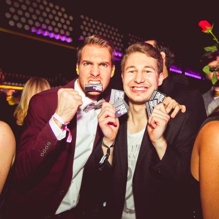 Technoball 2013 @ Volksgarten