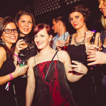 Technoball 2013 @ Volksgarten
