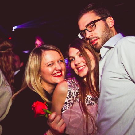 Technoball 2013 @ Volksgarten