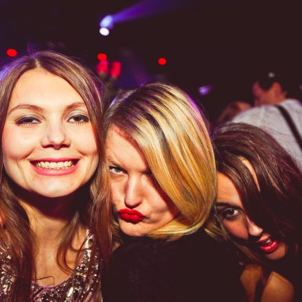 Technoball 2013 @ Volksgarten