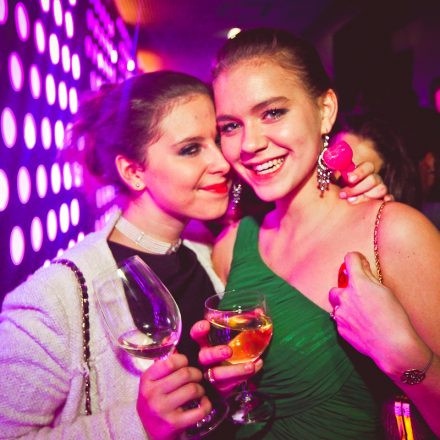 Technoball 2013 @ Volksgarten