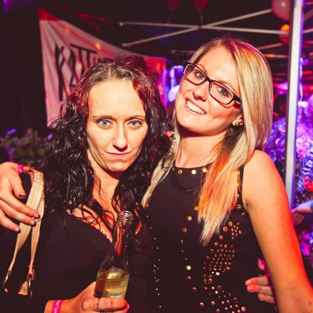 Technoball 2013 @ Volksgarten
