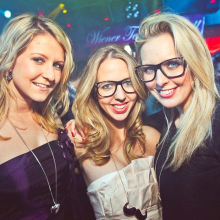 Technoball 2013 @ Volksgarten