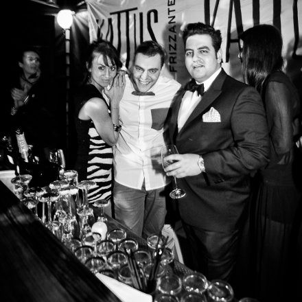 Technoball 2013 @ Volksgarten