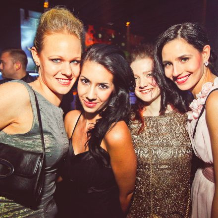 Technoball 2013 @ Volksgarten