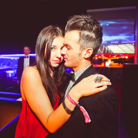 Technoball 2013 @ Volksgarten