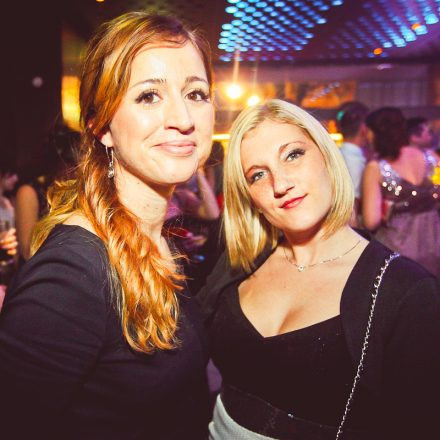 Technoball 2013 @ Volksgarten