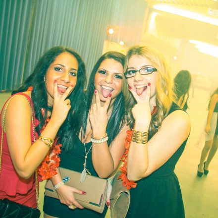 Gangnam Ball 2013 @ Stadthalle