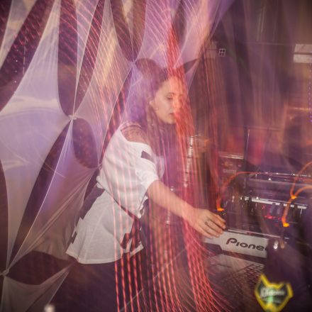 Cosmic Space Disco pres. Paradise Festival Warm-up @ Wuk