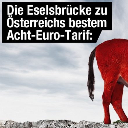 T H A T S H x T @ Flex (support B.Pazdernik)