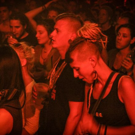 Hanf Wandertag Afterparty @ Fluc