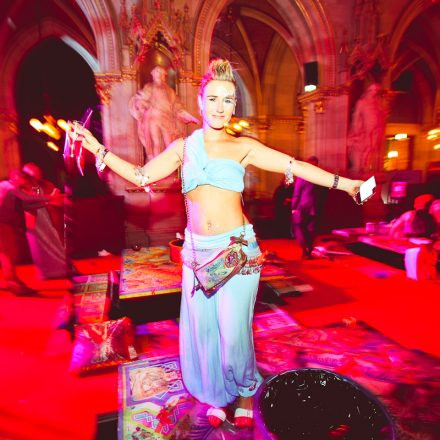 Lifeball 2013 Rathausparty @ Rathaus