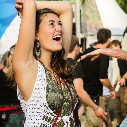 Paradise Festival-Part 2 @ Falkenstein