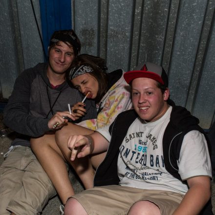 Frequency Festival 2013 Night 1 Part 1 @ Green Park