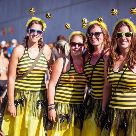 Frequency Festival 2013 Day 2 - Part 2 @ Green Park (supported by: Stefan Pausa)