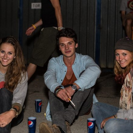 Frequency Festival 2013 Night 2 - Part 1 @ Green Park