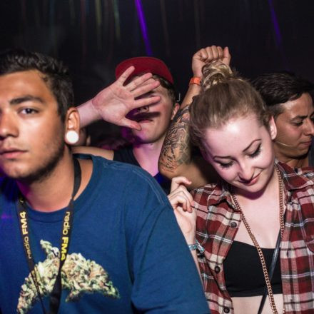 Frequency Festival 2013 Night 2 - Part 1 @ Green Park