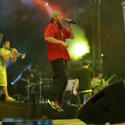 Two Days A Week Festival Day 2 Part 2 @ Wiesen