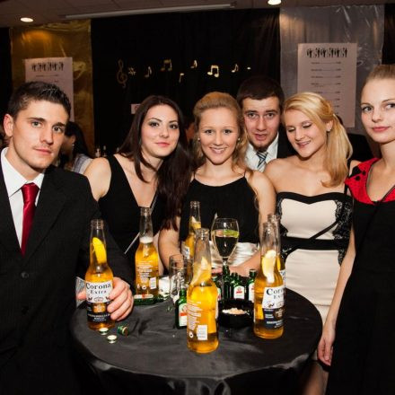 Josephiner Schlossball 2013 @ Wieselburg