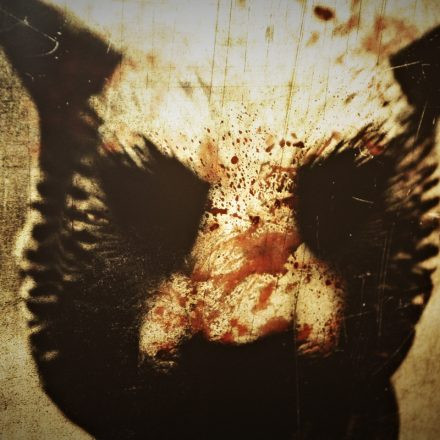 Volume Filmpremiere: You're Next @ Apollo