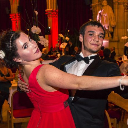 Rotkreuz Ball @ Rathaus