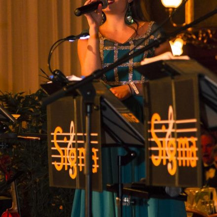 Rotkreuz Ball @ Rathaus