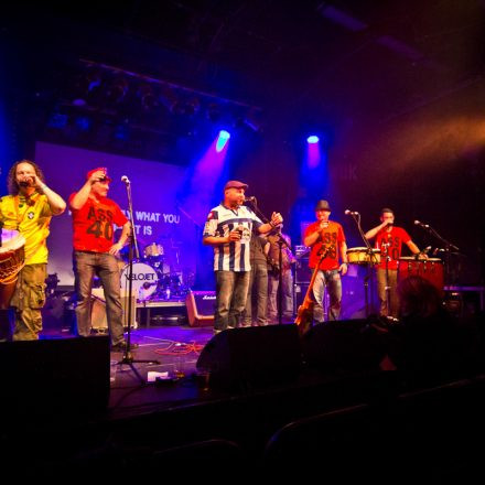 Global 2000 Geburtstagsfest @ WUK