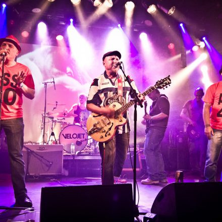 Global 2000 Geburtstagsfest @ WUK