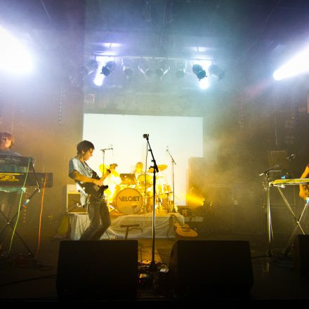 Global 2000 Geburtstagsfest @ WUK